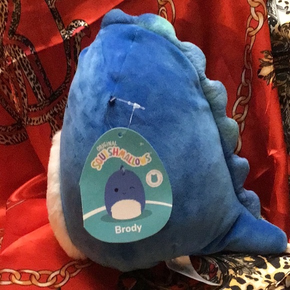 BRODY Squish date 01-17-2023. 8” - Picture 6 of 7